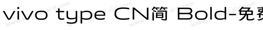 vivo type CN简 Bold字体转换